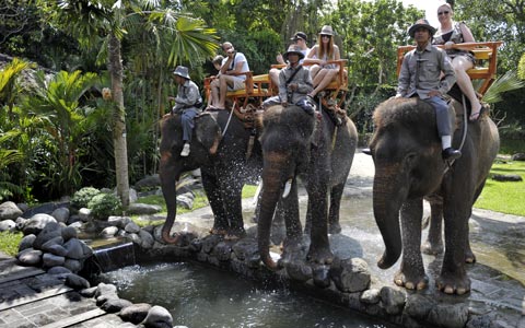 Duta Budaya dan Pariwisata Proaktif Gaet Turis
